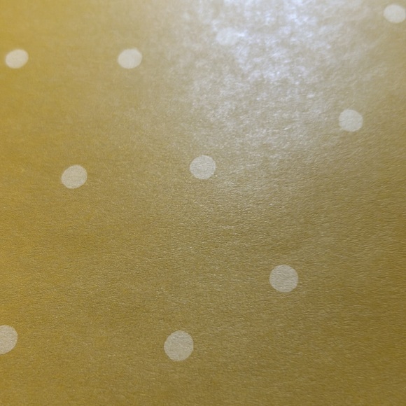 CTMH scrapbook paper - Picture 5 of 14